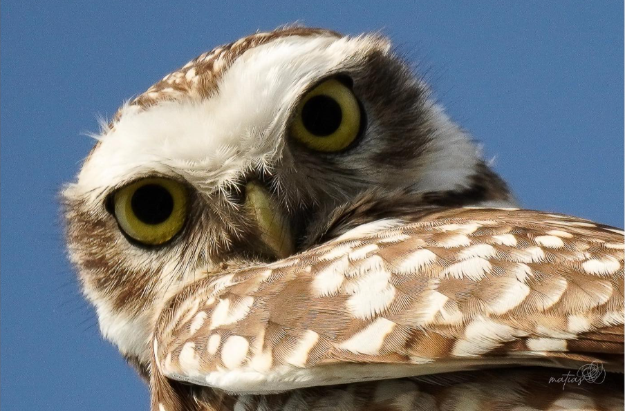 | I S E E Y O U | | I S E E Y O U |